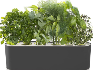 Today Only! Aerogarden Harvest 12XL and Harvest Slim from $59.99 Shipped Free (Reg. $164.95)