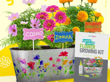Paint & Plant Flower Craft Kit for Kids $9.99 (Reg. $24.99) – FAB Ratings! 10K+ 4.6/5 Stars!