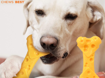 Nylabone DuraChew Large/Giant Cheese Bone as low as $7.97 Shipped Free (Reg. $25) – 16K+ FAB Ratings!