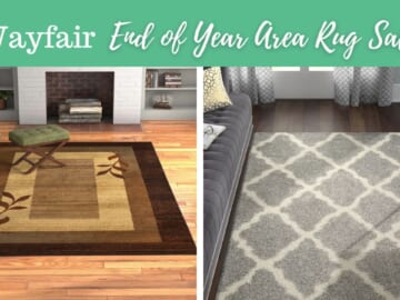 Area Rugs Up to 80% Off at Wayfair
