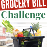 Want to join me for the Cut Your Grocery Bill Challenge? (plus what I bought this week!)