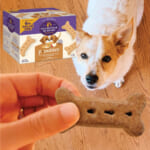 Old Mother Hubbard P-Nuttier Crunchy Dog Treats 6-Pound Box as low as $10.07 After Coupon (Reg. $20) + Free Shipping!