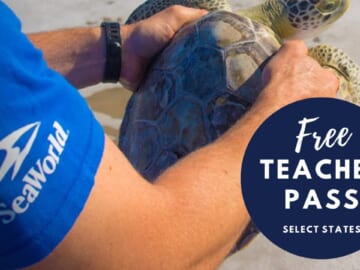 Free SeaWorld Pass For Teachers In Select States