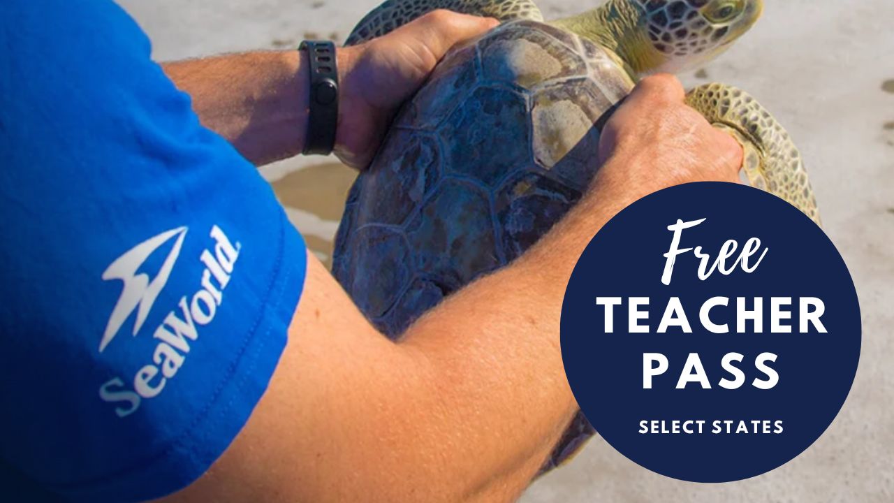 Free SeaWorld Pass For Teachers In Select States