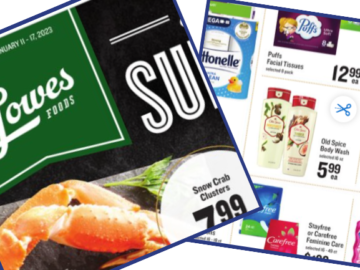 lowes foods weekly ad