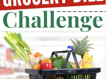 Cut Your Grocery Bill Challenge (Week 2)