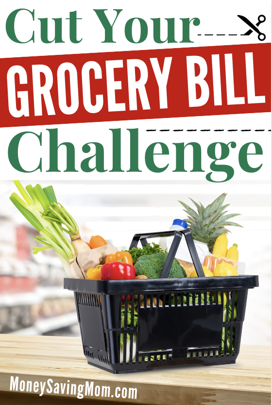 Cut Your Grocery Bill Challenge (Week 2)