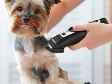 Electric USB Rechargeable Cordless Pets Clipper $13.49 After Code (Reg. $27) + Free Shipping!