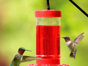 First Nature 16-Oz Hummingbird Feeder $4.18 (Reg. $8.23)