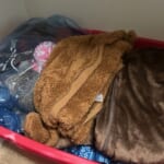 52 Weeks of Organizing: Clothes, Jewelry, & Winterwear