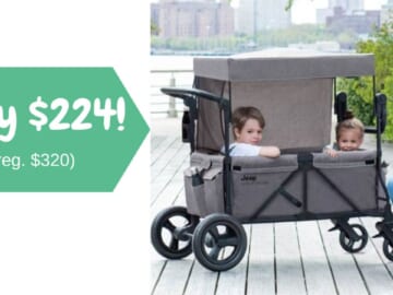 stroller wagon