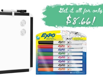 Dry Erase Board & 8-Pack Expo Markers Only $8.66