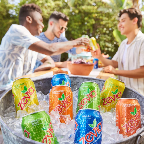 Zevia Zero Calorie Soda Rainbow Variety Pack as low as $12.90 Shipped Free (Reg. $31.30) – 54¢/ 12 Oz Can! Gluten-Free & Vegan!