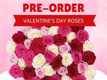 Send Roses for Valentine’s Day, Pre-order 50 Roses now for just $59.99 + Free Shipping!