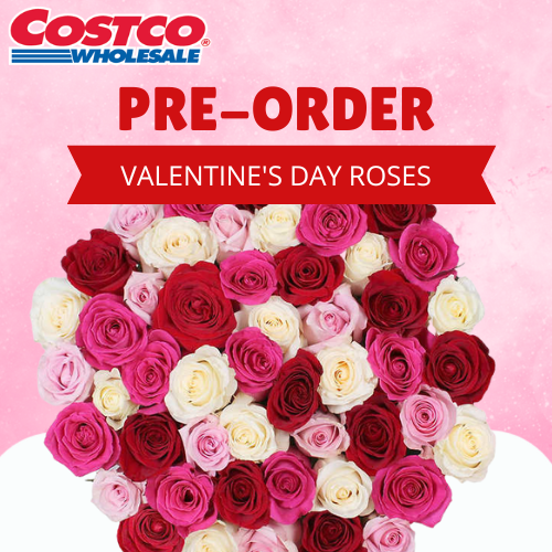Send Roses for Valentine’s Day, Pre-order 50 Roses now for just $59.99 + Free Shipping!