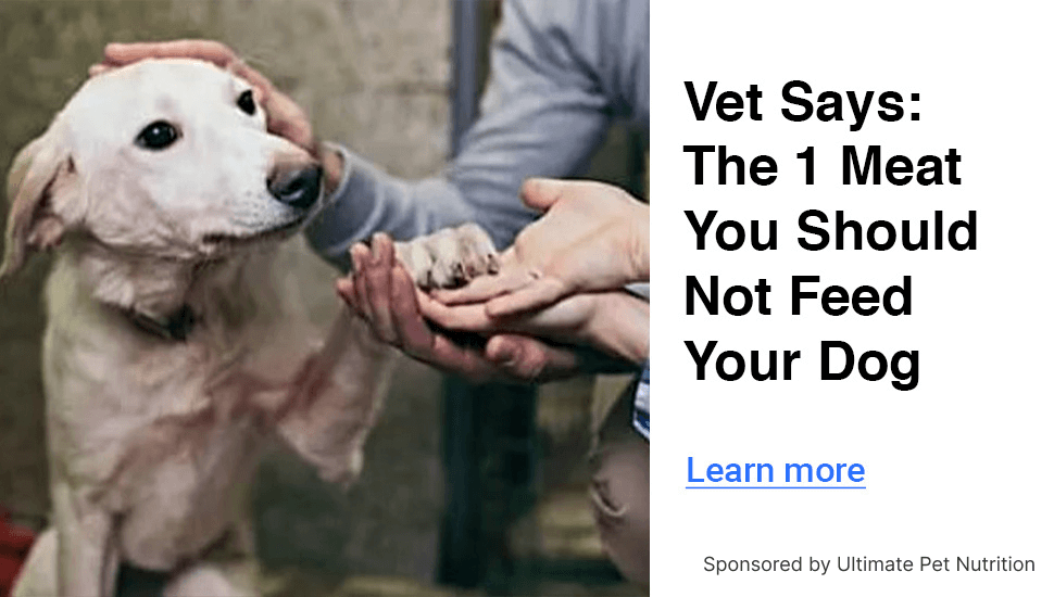 Feed Ads by FeedBlitz