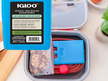 Igloo Reusable Ice Packs for Lunch Boxes or Coolers, Small $0.98 (Reg. $1.65) – FAB Ratings!