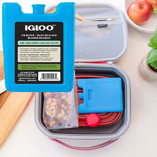 Igloo Reusable Ice Packs for Lunch Boxes or Coolers, Small $0.98 (Reg. $1.65) – FAB Ratings!