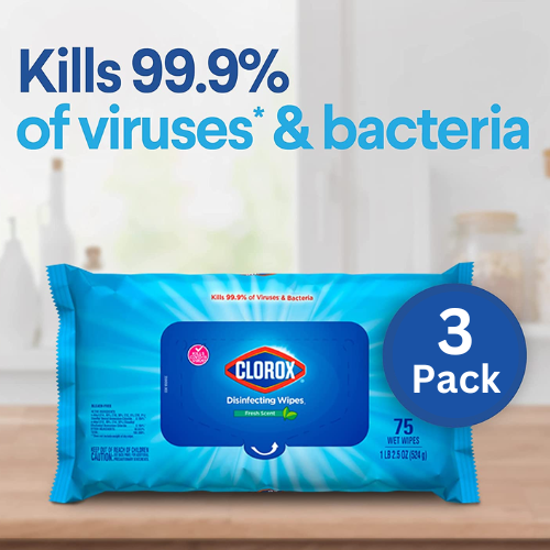FOUR Sets of 225-Count Clorox Fresh Scent Disinfecting Wipes as low as $8.02 EACH Set After Coupon (Reg. $15.05) + Free Shipping – $2.67/ 75-Count Bag or 4¢/Wipe + Buy 4, Save 5% + MORE