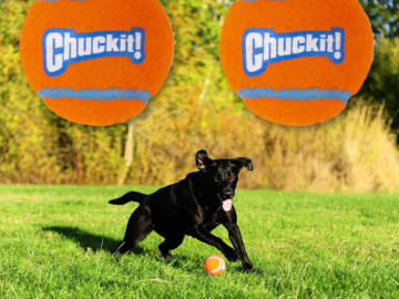 2-Pack ChuckIt! Large Tennis Ball Dog Toy as low as $2.69 Shipped Free (Reg. $10.86) – $1.35/Ball