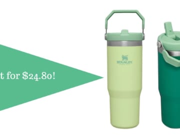 Stanley 30oz Flip Straw Tumbler For 20% Off!
