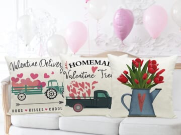 Set of 4 Valentine’s Day Pillow Covers with Cute Prints, 18×18 Inches $9.99 (Reg. $15) – $2.50/ Pillow Cover, FAB Ratings, Price Drop!