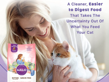 6-Pound Halo Grain Free Wild Salmon & Whitefish Kitten Dry Food as low as $7.04 After Coupon (Reg. $47) + Free Shipping – $1.17/Pound