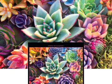 Buffalo Games Simple Succulent 1000 Piece Jigsaw Puzzle $7.49 (Reg. $15) – 1.8K+ FAB Ratings!