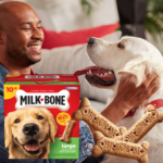 Milk-Bone 10-lbs  Original Dog Treats Biscuits $8.99 After Coupon (Reg. $15) + Free Shipping