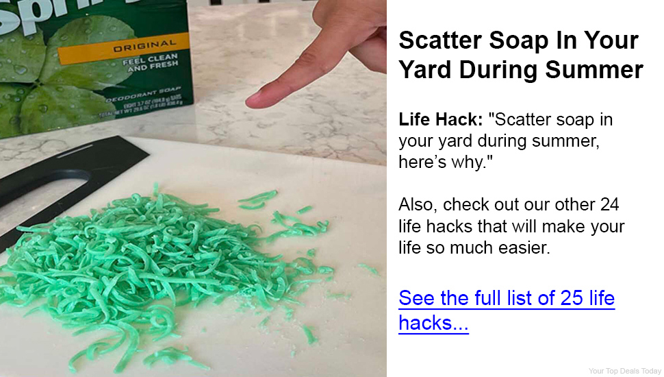 Feed Ads by FeedBlitz