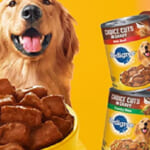 12-Ct  Pedigree Choice Cuts In Gravy Canned Wet Adult Dog Food, Variety Pack as low as $9.06 After Coupon (Reg. $17) + Free Shipping – $0.76/ 13.2-Oz Can