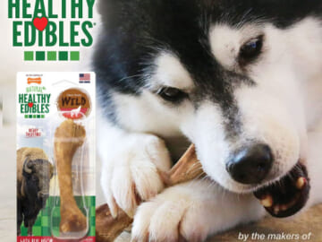 Nylabone Healthy Edibles Wild Dog All Natural Bone Bison Dog Treat (Giant) as low as $2.28 After Coupon (Reg. $6) + Free Shipping + 3-Pack Petite Bones for only $2.98 After Coupon