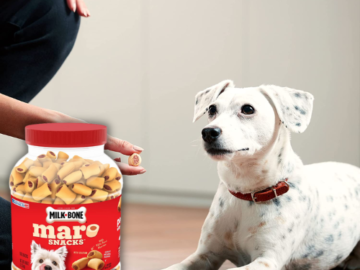 Milk-Bone MaroSnacks Beef Dog Treats, 40 Oz as low as $6.89 After Coupon (Reg. $11.48) + Free Shipping – With Real Bone Marrow & Calcium