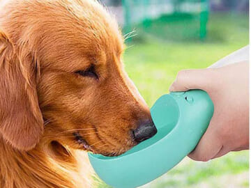 Portable Pet Water Bottle, 19-Oz, Mint Green $8.49 After Code (Reg. $20) – Dispenser for Outdoor – FAB Ratings!