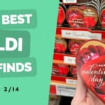 Aldi Fun Finds | $1.99 Kids’ Valentines, Fitness Clearance & More