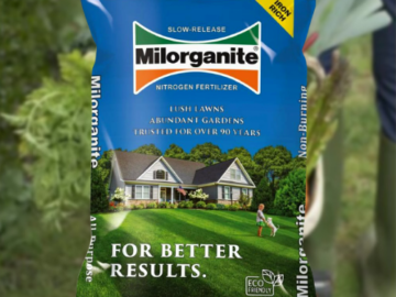 Milorganite Long Lasting All Purpose Lawn Food, 6-4-0 Fertilizer, 32 Lb. $16.98 (Reg. $29.97)