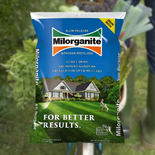 Milorganite Long Lasting All Purpose Lawn Food, 6-4-0 Fertilizer, 32 Lb. $16.98 (Reg. $29.97)
