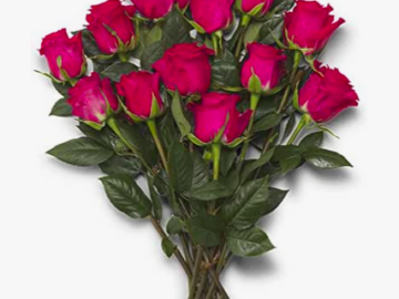Whole Foods: Two Dozen Roses only $24.99 for Amazon Prime Members!