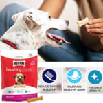 48-Count Milk-Bone Daily Brushing Dental Dog Chew Mini Treats as low as $5.35 Shipped Free (Reg. $13.49) – $0.11 Each
