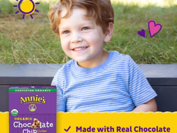 FOUR Boxes of Annie’s Chocolate Chip Cookie Bites, 6.5 Oz as low as $2.50 EACH Box After Coupon (Reg. $4) + Free Shipping + Buy 4, Save 5%