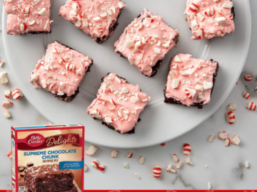 Betty Crocker Delights Supreme Chocolate Chunk Brownie Mix, 18 Oz as low as $1.94 After Coupon (Reg. $3) + Free Shipping