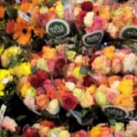 Two Dozen Roses for $24.99 at Whole Foods!