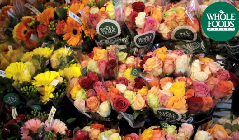 Two Dozen Roses for $24.99 at Whole Foods!