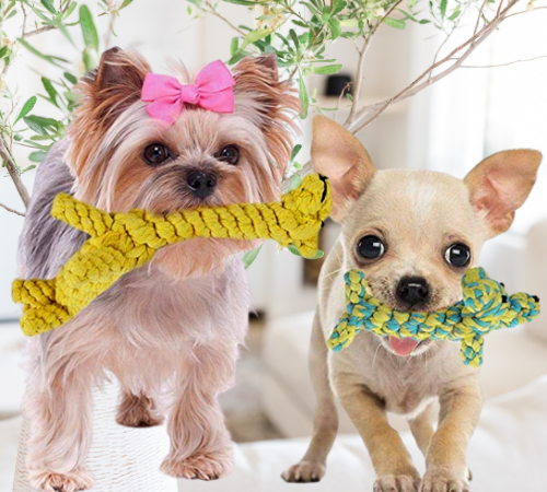 2-Piece SunGrow Cotton Rope Knot Dog Chew Toy Set $6.20 (Reg. $18.95) – $3.10 each – LOWEST PRICE
