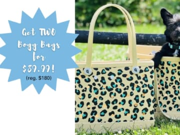 Limited Edition Bogg Bag Bundle | $90 (reg. $180)