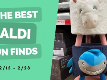 Aldi Fun Finds | Kids’ Room Decor from $9.99 + More