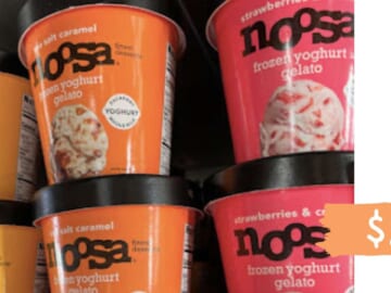 Noosa Rebate | $2 Frozen Yoghurt Gelato at Target
