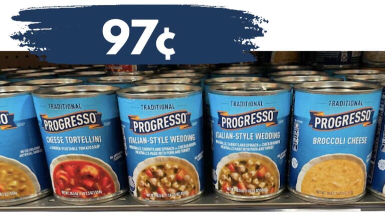 Progresso eCoupon | Save on Soup at Publix, Kroger, & Winn-Dixie