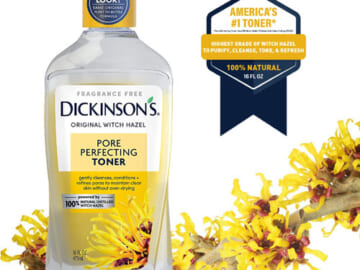 FOUR 16-Oz Dickinson’s Original Witch Hazel Pore Perfecting Toner as low as $2.79 EACH After Coupon (Reg. $8) + Free Shipping + Buy 4, save 5%