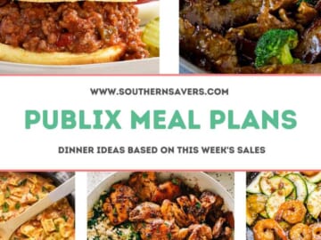 publix meal plans 2/22